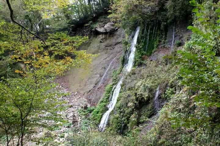 �z���̑�(�Ί݂���)